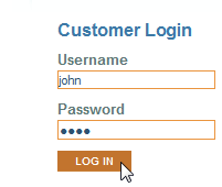 SOAtest and Virtualize with CTP 2025.1 > Web Functional Testing > login.png