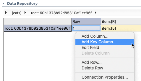 SOAtest and Virtualize with CTP 2025.1 > Data Repository CRUD Tool > crud-tut-add-key-col-20212.png