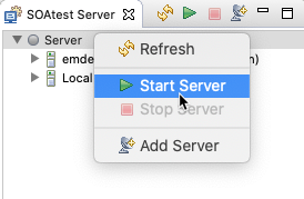 SOAtest and Virtualize 2025.1 > Call Back > startServer.png