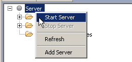 SOAtest and Virtualize 9.10.3 > Call Back > startServer.png