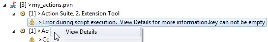 Virtualize 9.10.4 > Defining Provisioning Actions > view detaiks.jpg