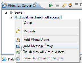 Virtualize 9.10.4 > Creating Proxies > AddMassage.png