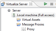 Virtualize 9.10.4 > Creating Proxies > LocalMachine.png