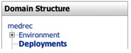 Virtualize 9.10.4 > JDBC Configuration on Oracle BEA WebLogic 9.2 Application Servers > 11.jpg