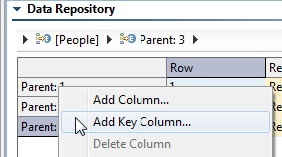 Virtualize 9.10.4 > Importing Data Into a Repository > 11.jpg