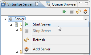 Virtualize 2020.2 > Working with the Local Virtualize Server > StartServer1.png