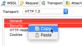 Virtualize 2020.2 > SOAP Client > soap-client-copy-settings-tip-9107.png